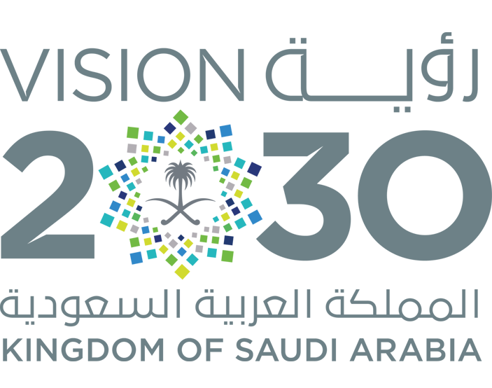 vision-2030